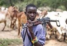 Monarchs, Political Elites Aiding Herdsmen Attacks – Ekiti Farmers herders