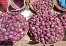 We Will Cut of Supplies To Southern Nigeria If Our Affected Members Are Not Compensated – Onion Producers/Marketers onion