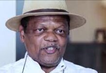 Twitter Ban: You Are Quick To Take Negative Actions And Slow To Take Positive Actions – Atedo Peterside Knocks FG peterside