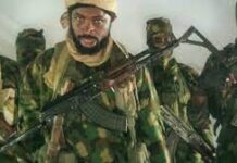 Boko Haram Confirms Shekau’s Death, Gets New Commander shekau