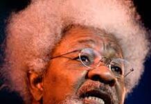 Set Up a Government of National Unity – Soyinka Advises Buhari soyinka