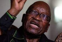 15-month Jail Term: South Africa Fast Sliding Back to Apartheid Rule – Zuma zuma