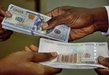 Naira Collapses To All-Time Low Against U.S Dollar dollars