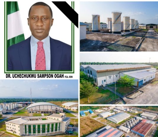 Uche Ogah: How Else Do You Define A Colossus